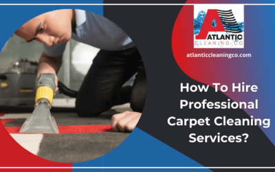 How To Hire Professional Carpet Cleaning Company?