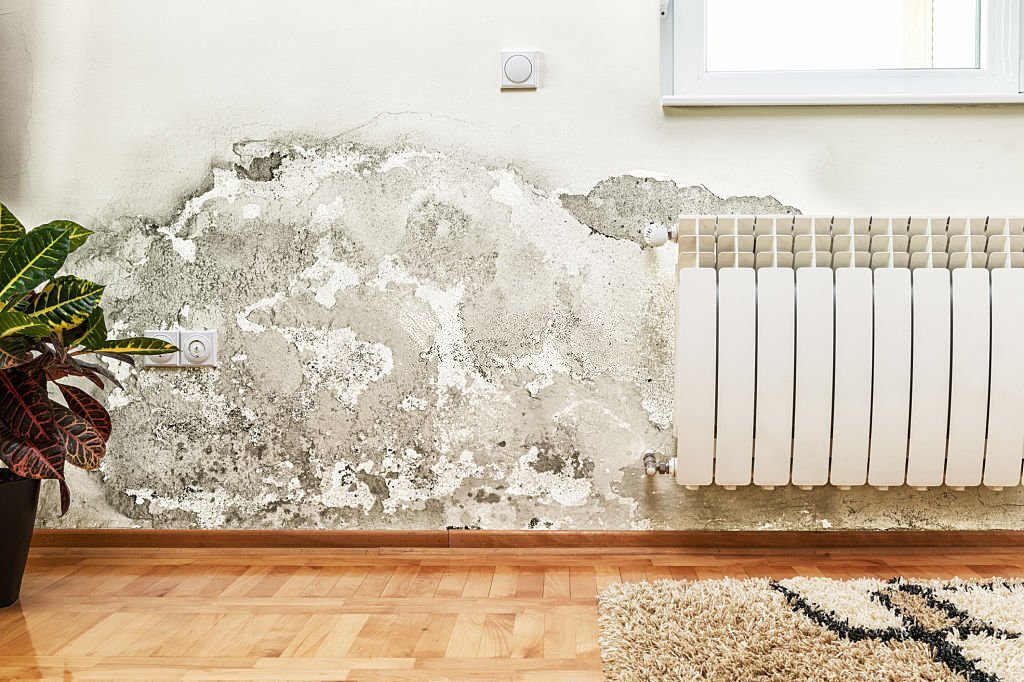 Prevent mold and mildew