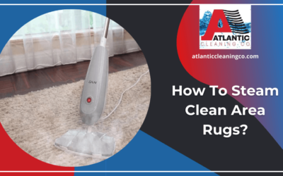 How To Steam Clean Area Rugs?