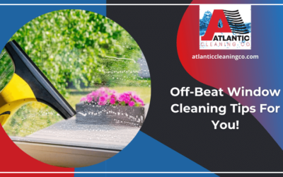 Off-Beat Window Cleaning Tips For You!