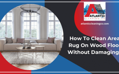 How To Clean Area Rug On Wood Floor Without Damaging?