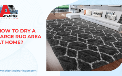How To Dry A Large Rug Area At Home?