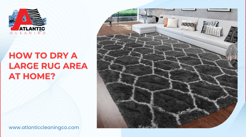 How To Dry A Large Rug Area At Home_